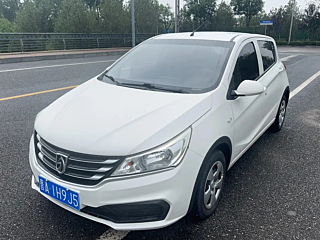 bao-jun 310