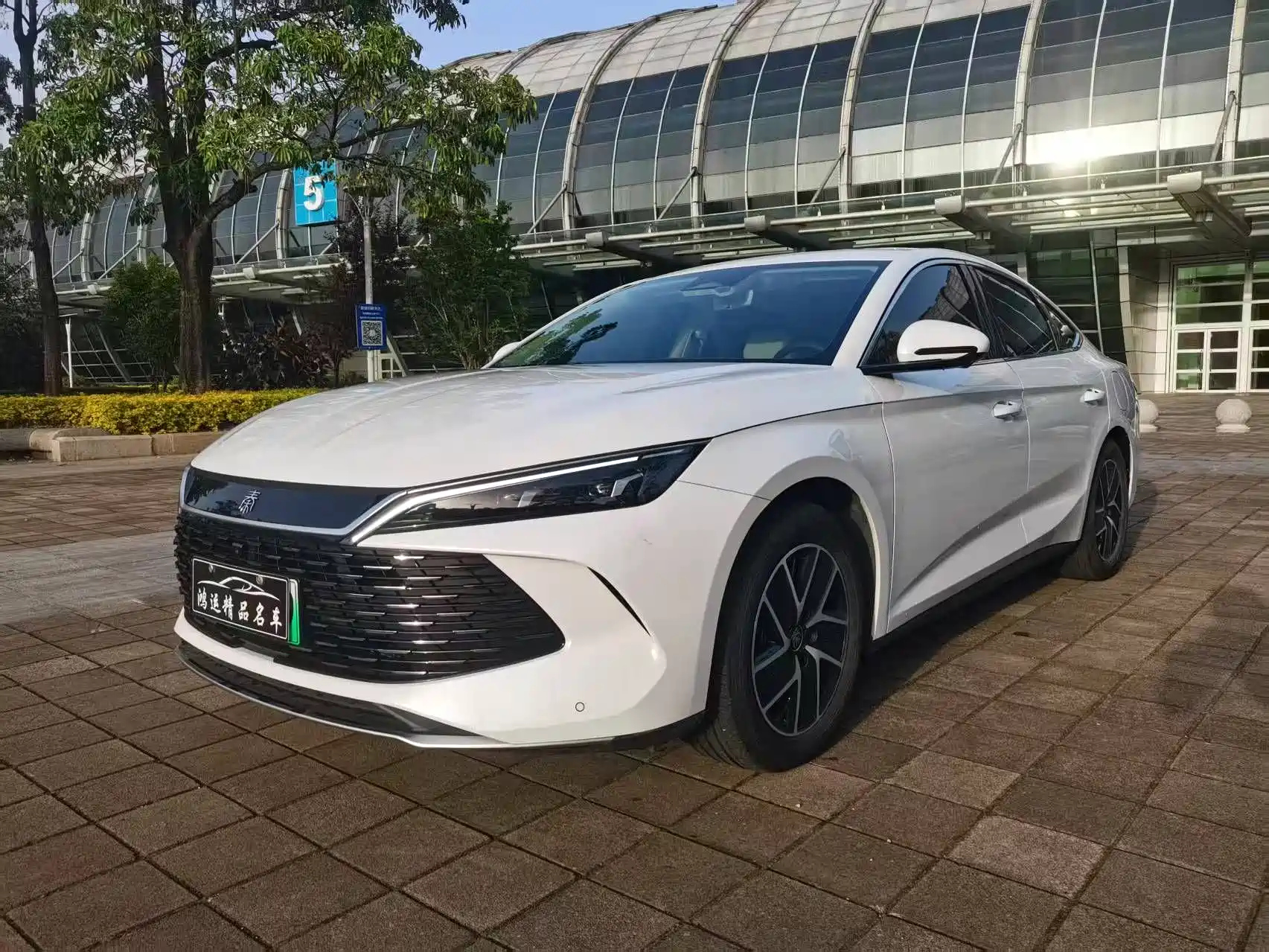 BYD QIN L 2024