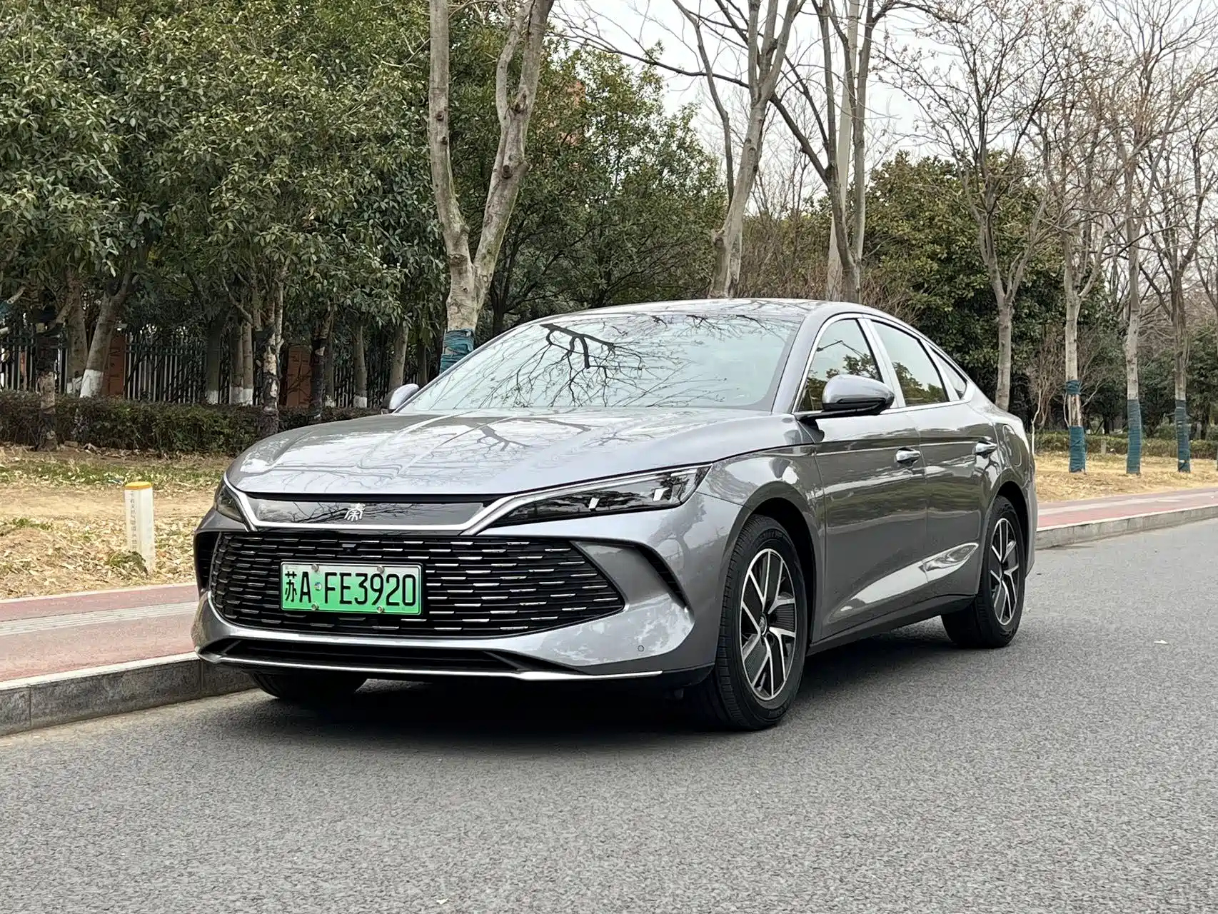 BYD QIN L 2024