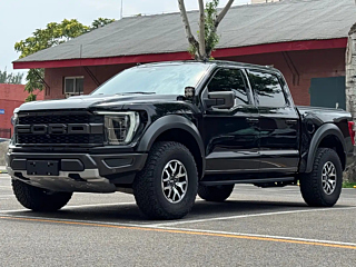 ford other