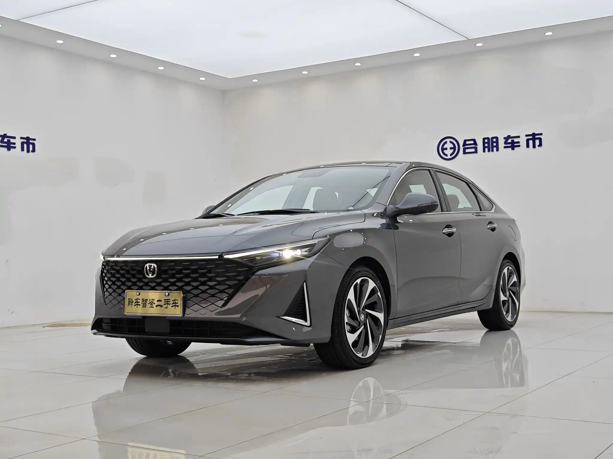 CHANGAN RAETON PLUS 2023