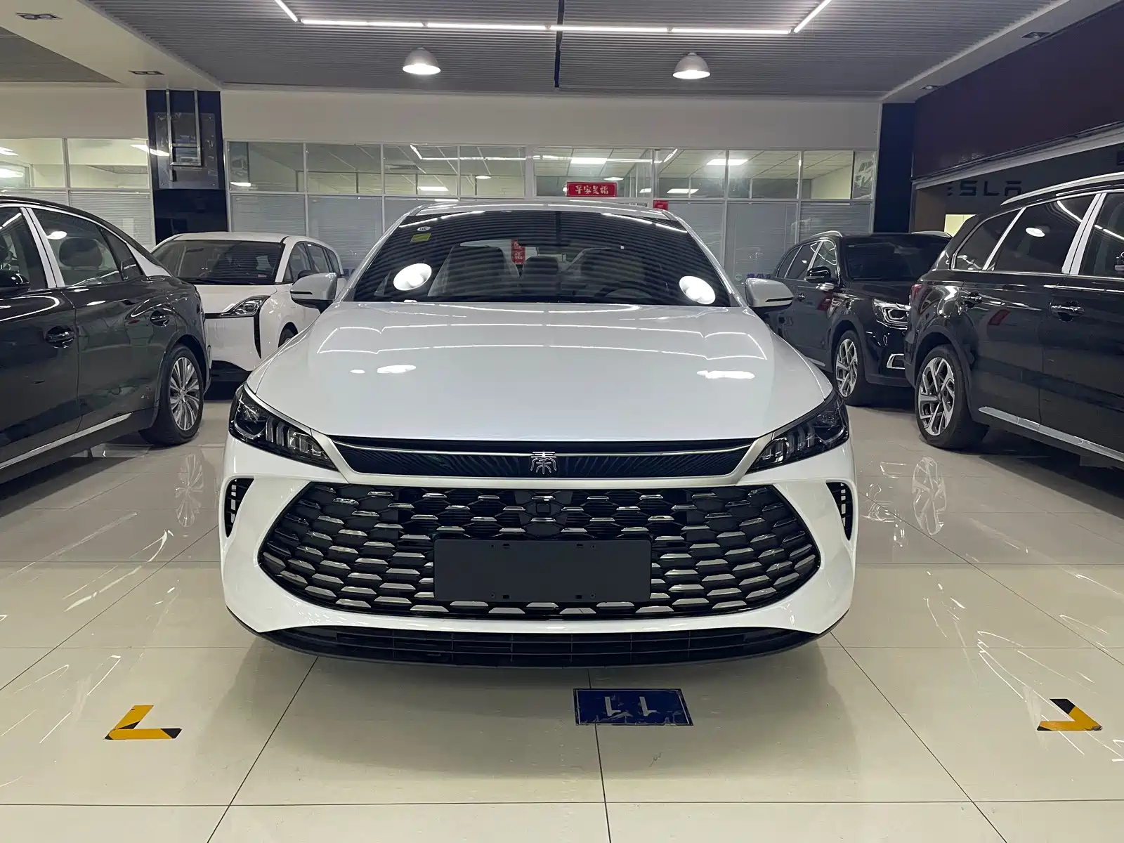 BYD QIN PLUS 2025