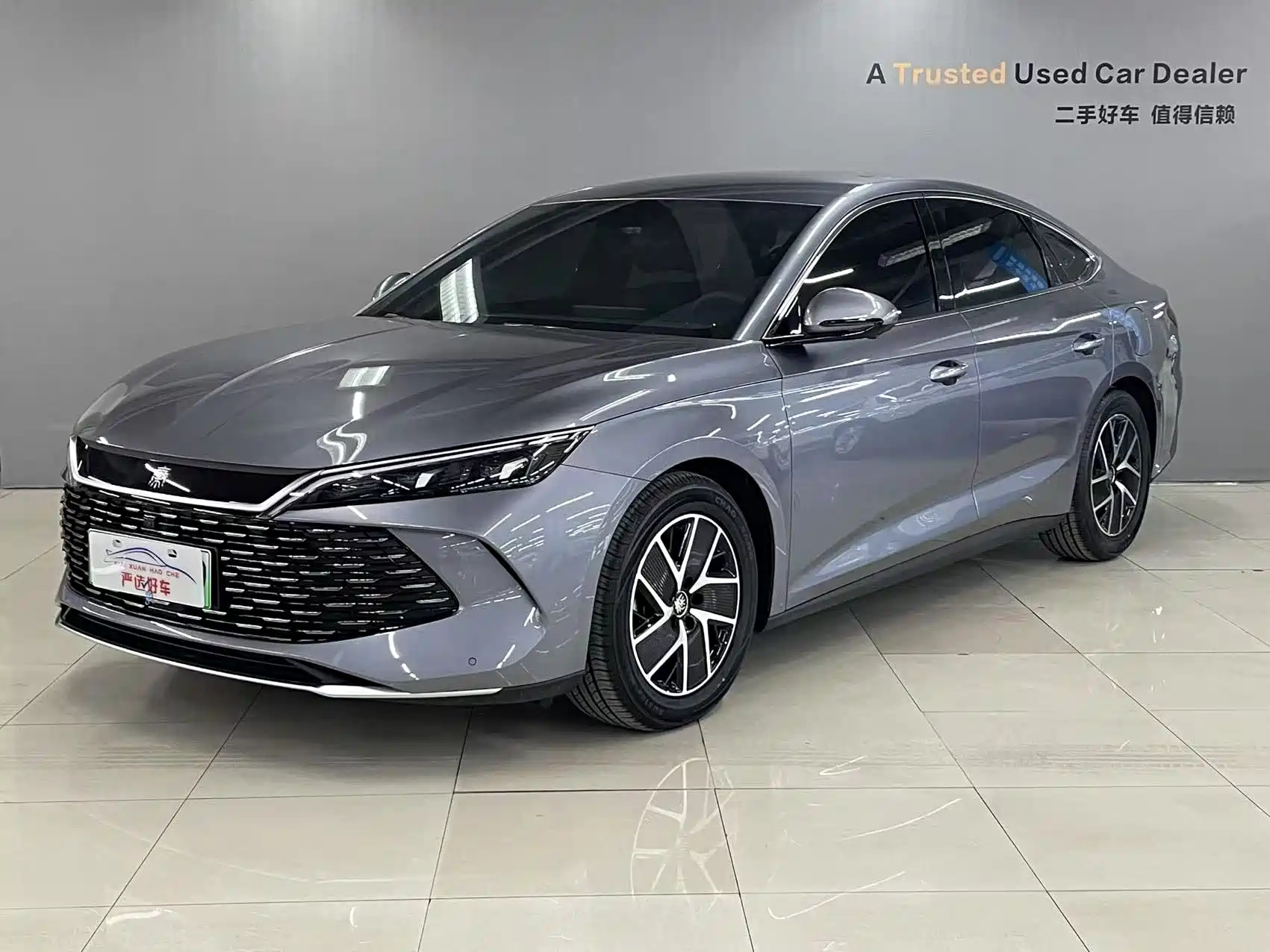 BYD QIN L
