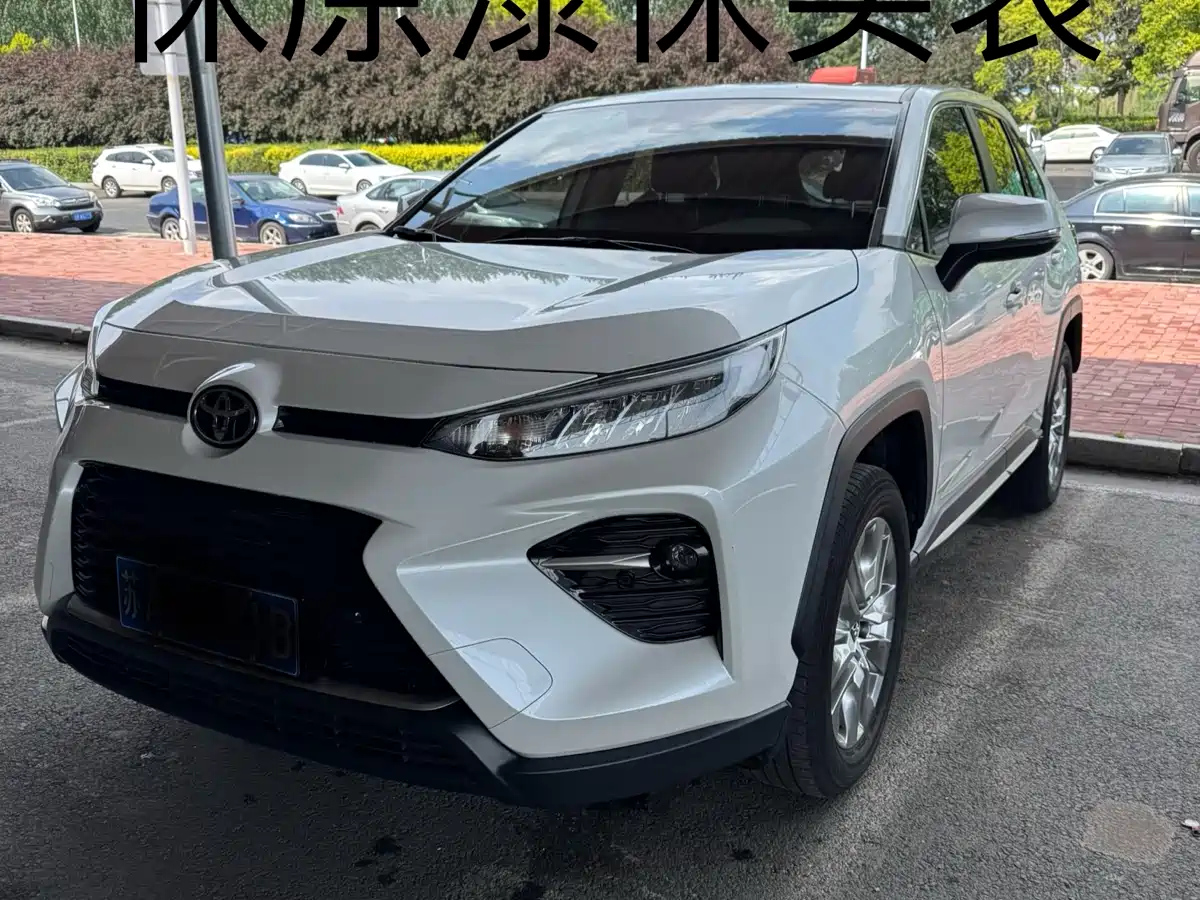 TOYOTA WILDLANDER 2021