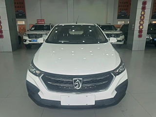 bao-jun 310
