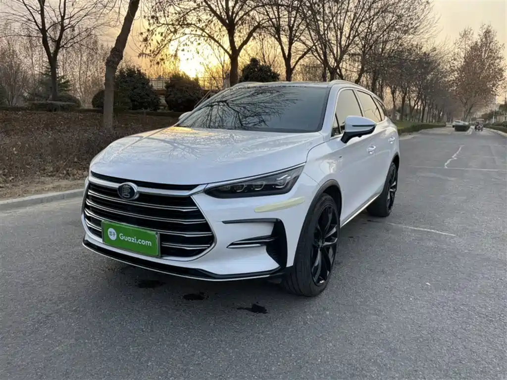 BYD TANG NEW ENERGY 2021
