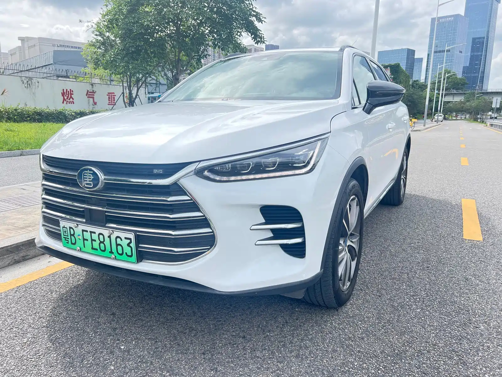 BYD TANG NEW ENERGY 2020