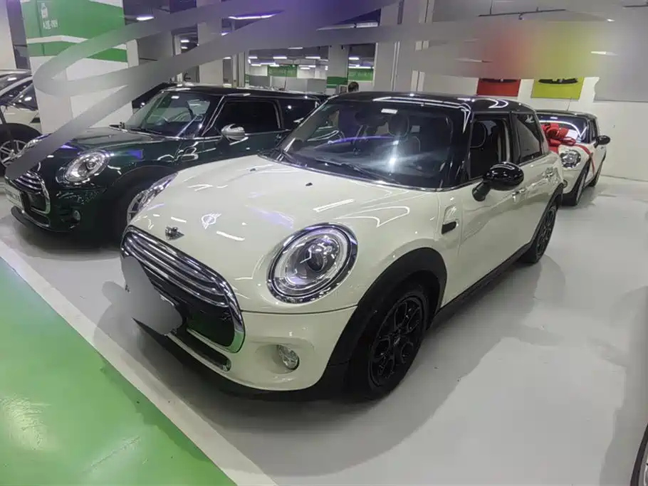 MINI OTHER 2015
