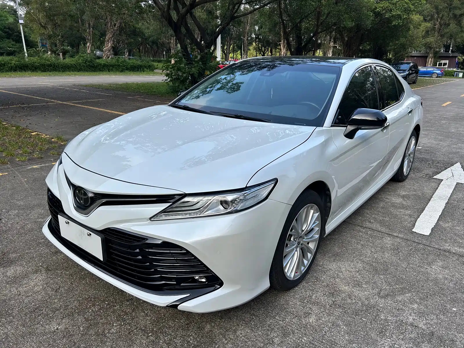 TOYOTA CAMRY 2019