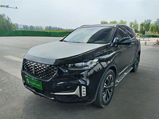 wey vv6