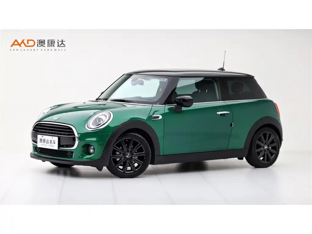MINI OTHER 2019