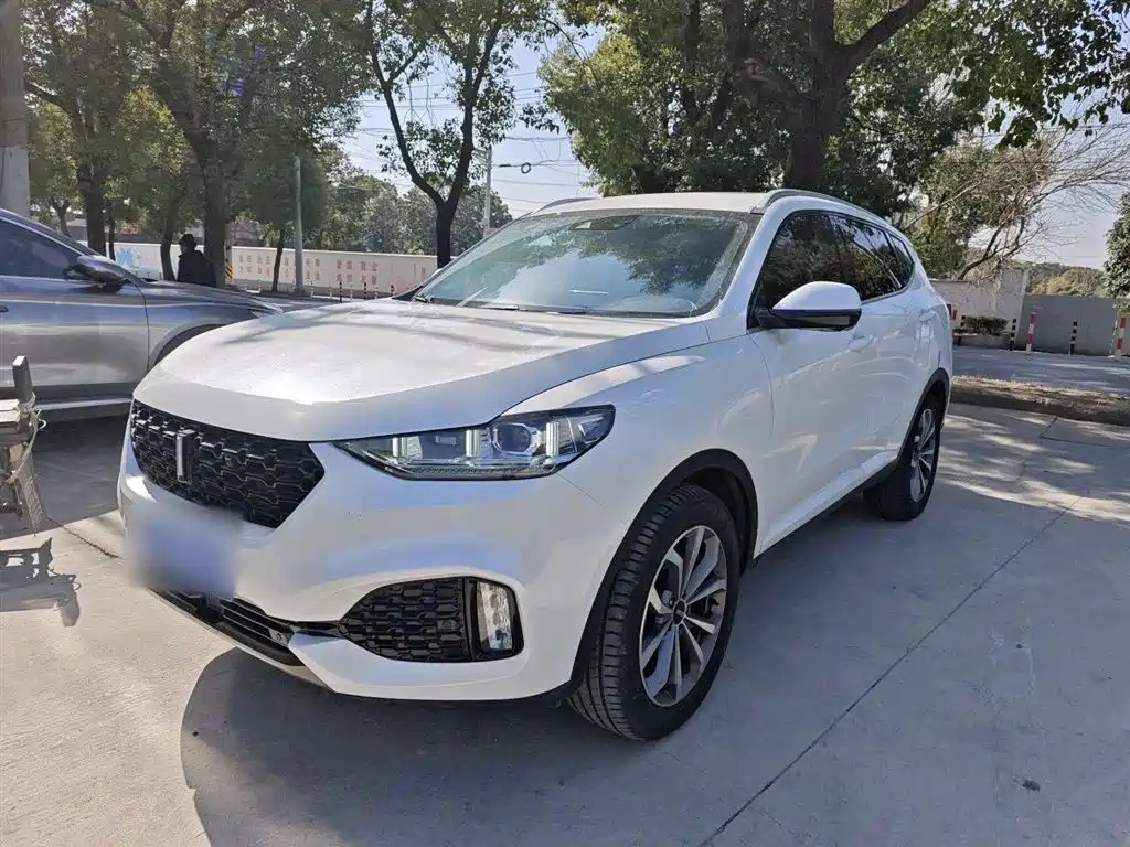 WEY VV6 2019