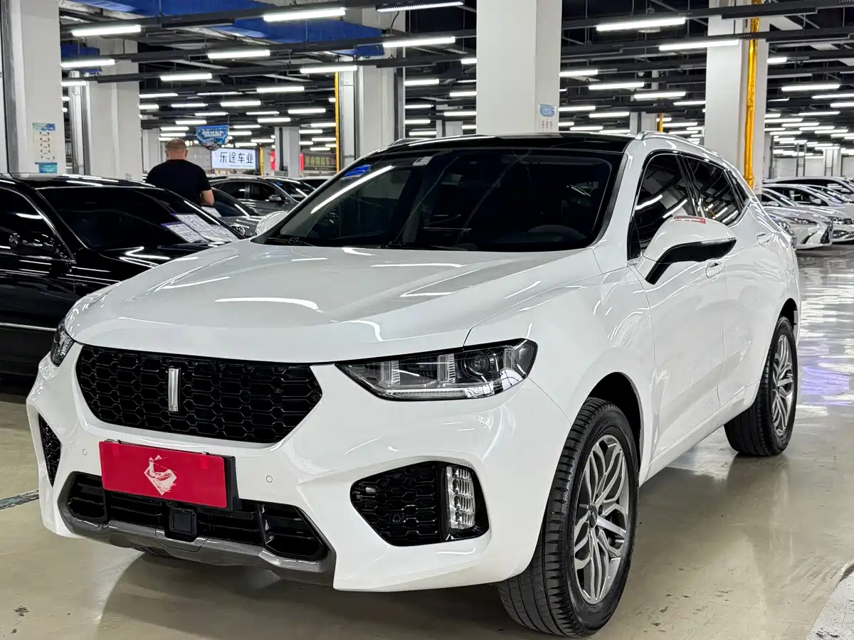 WEY VV5 2019