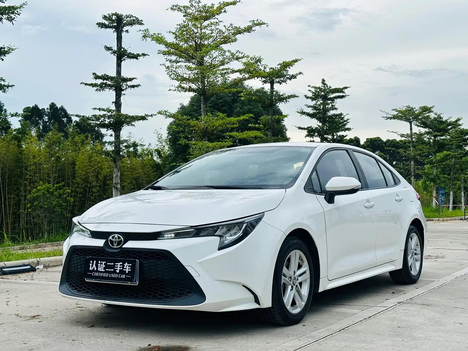 TOYOTA RALINK 2022
