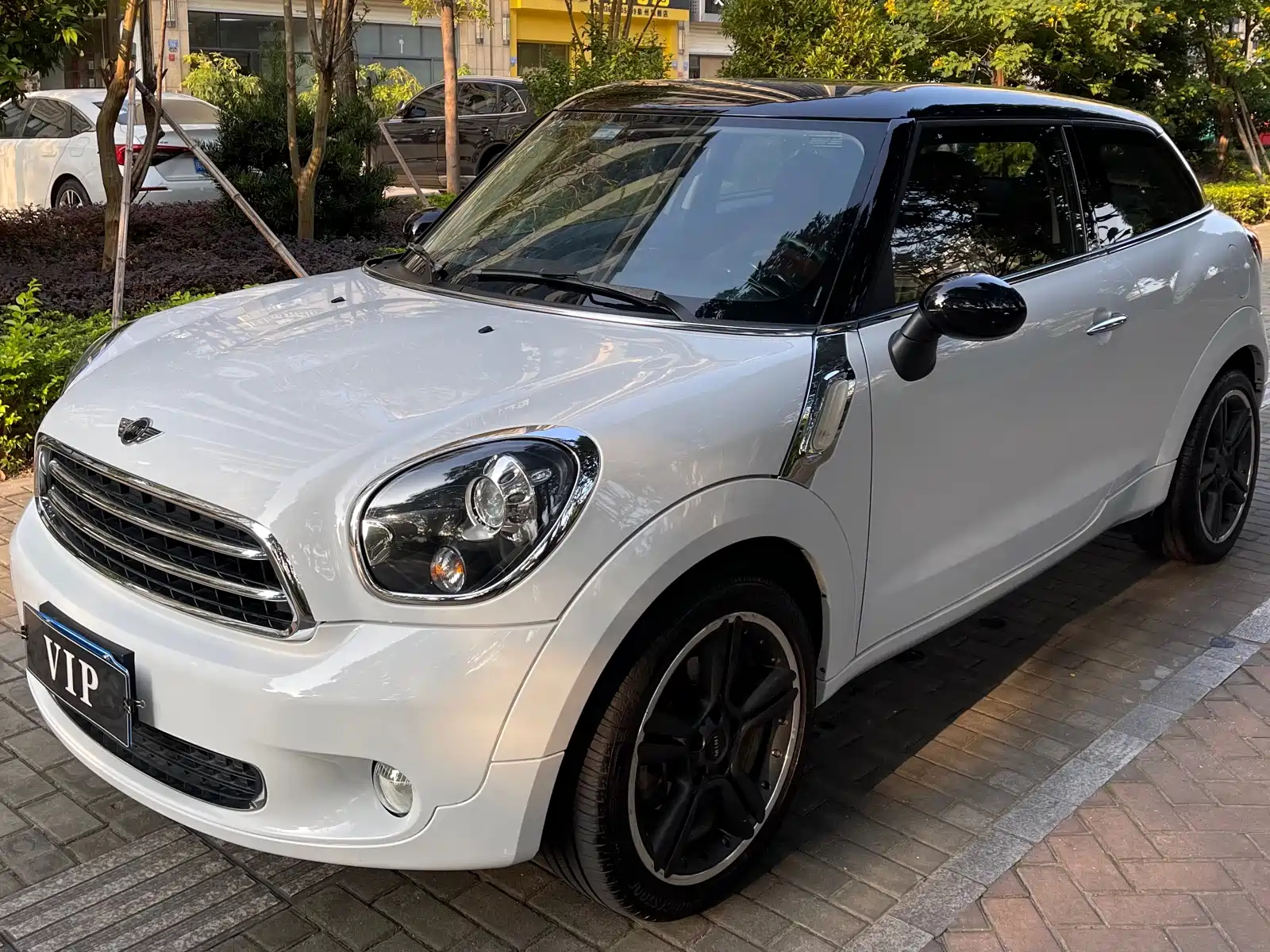 MINI PACEMAN 2013