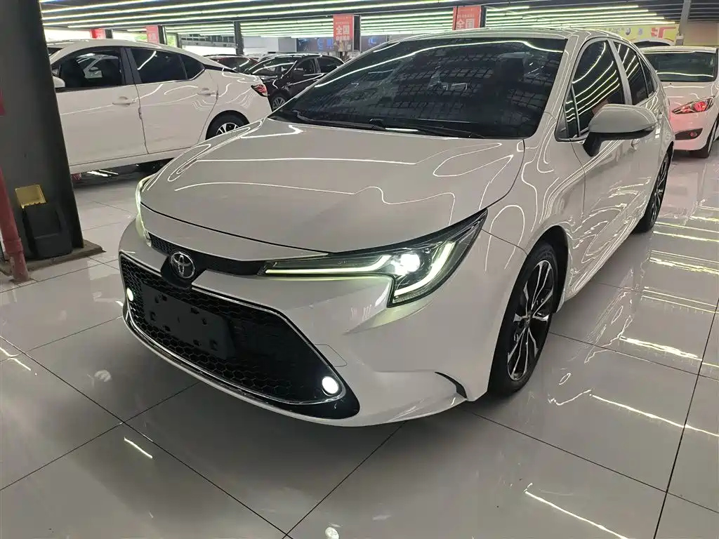TOYOTA RALINK 2019