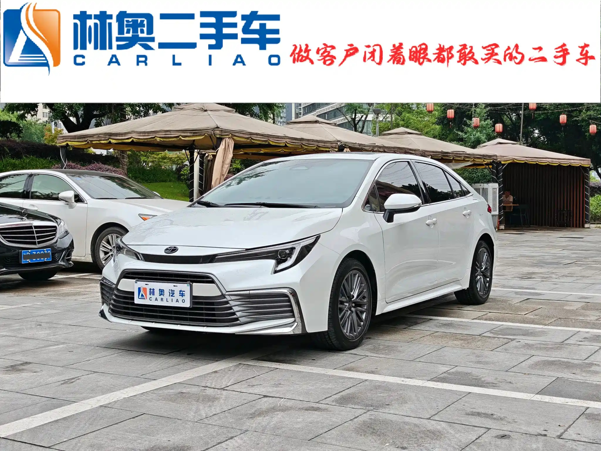 TOYOTA OTHER 2023