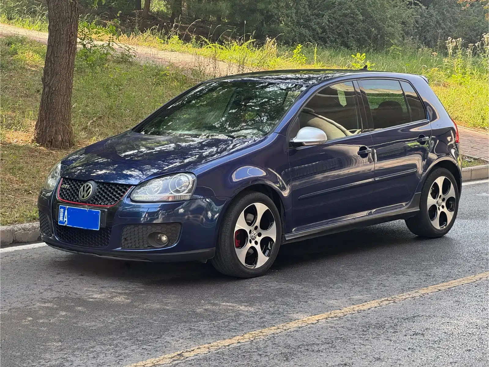 VOLKSWAGEN GOLF IMPORT 2006