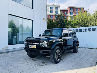 ford other