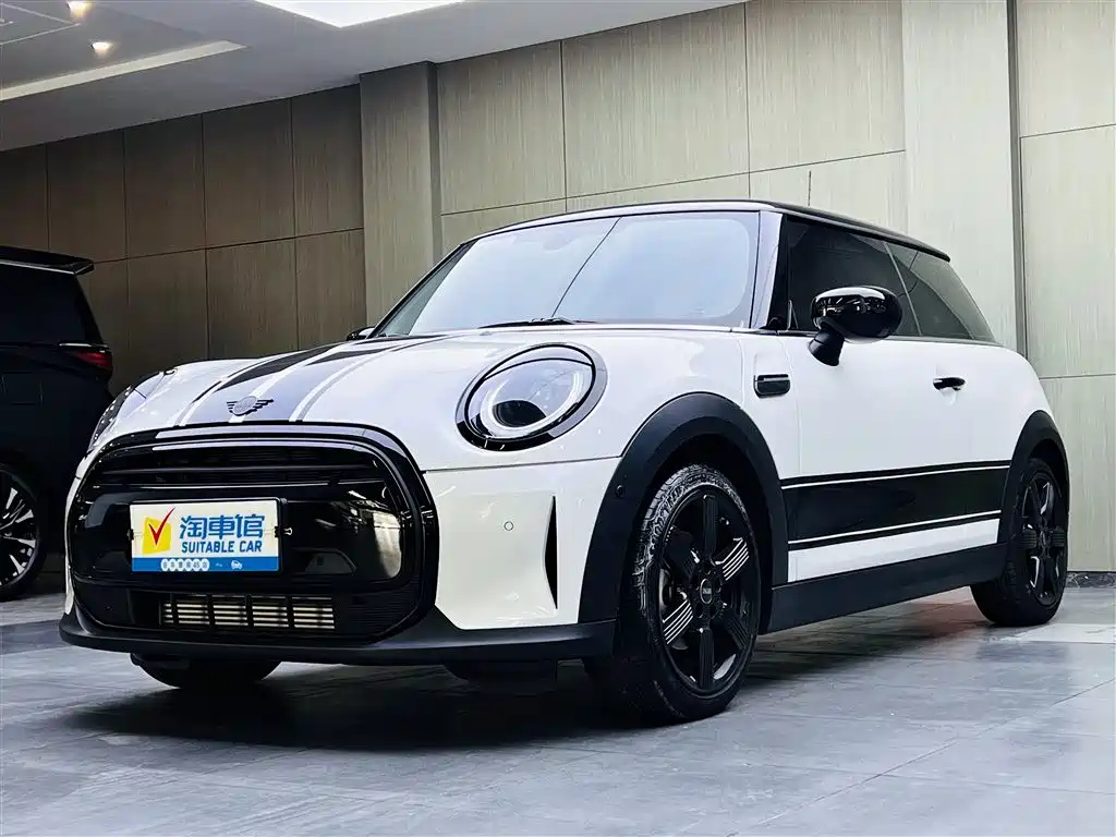 MINI OTHER 2023
