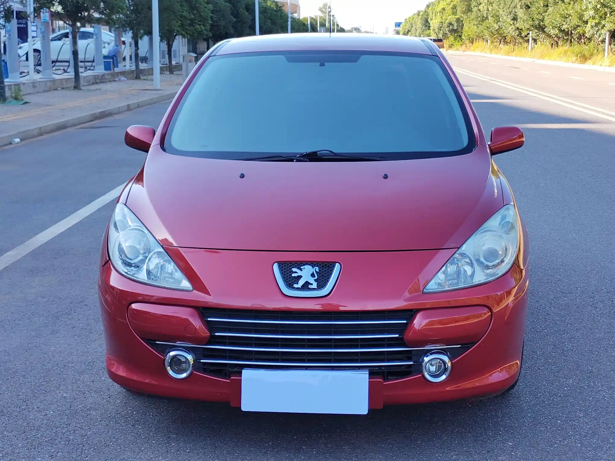 PEUGEOT 307