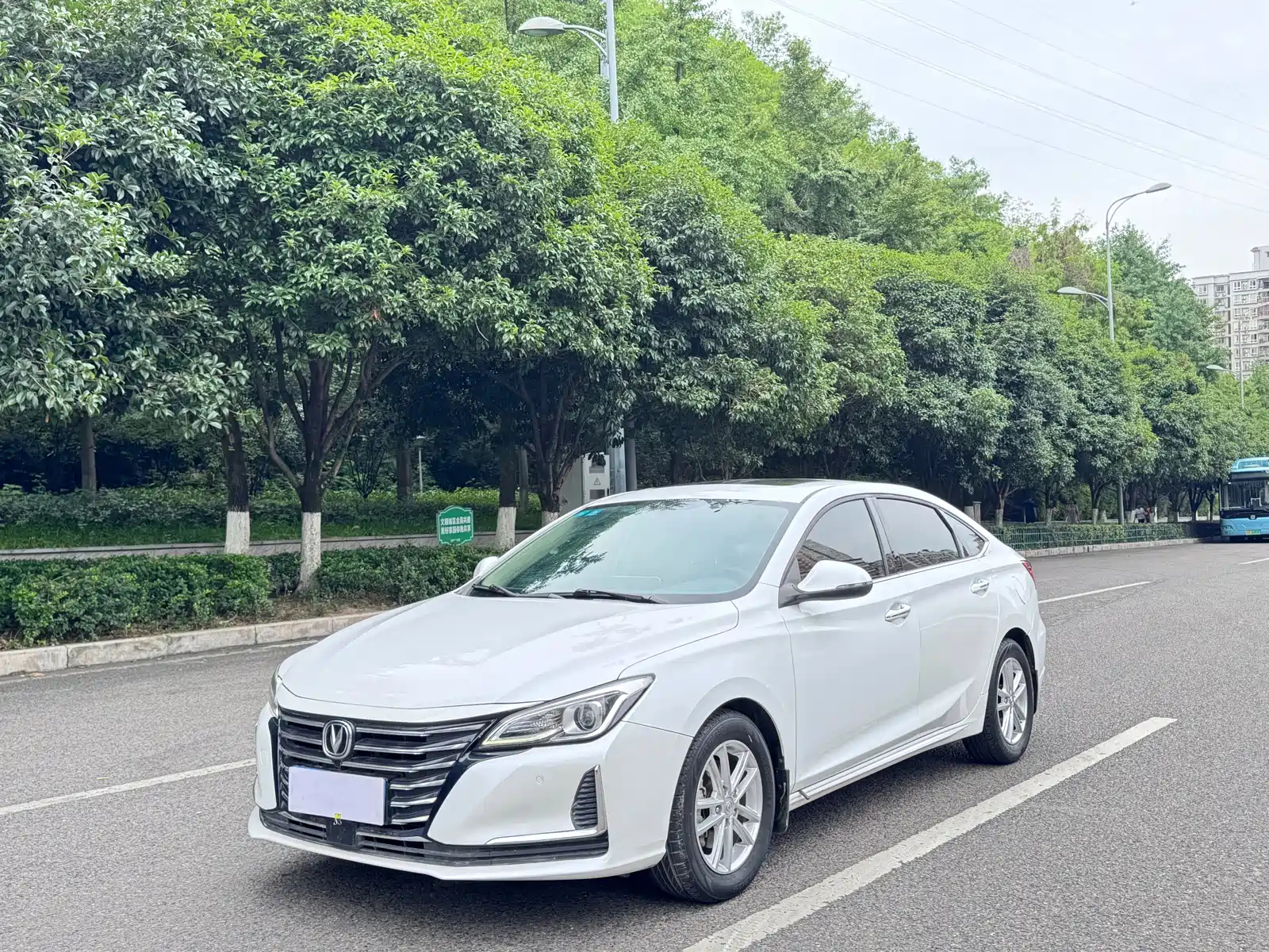 CHANGAN RAETON CC 2020
