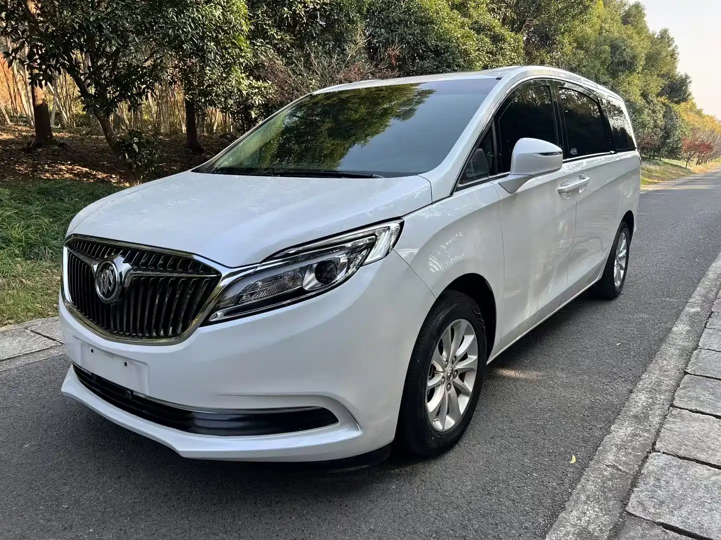 BUICK GL8 2017