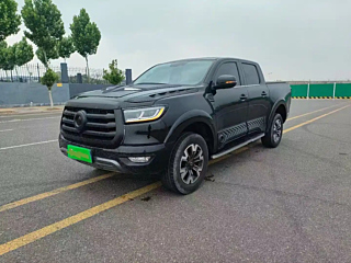 Заказать GREAT WALL CANNON