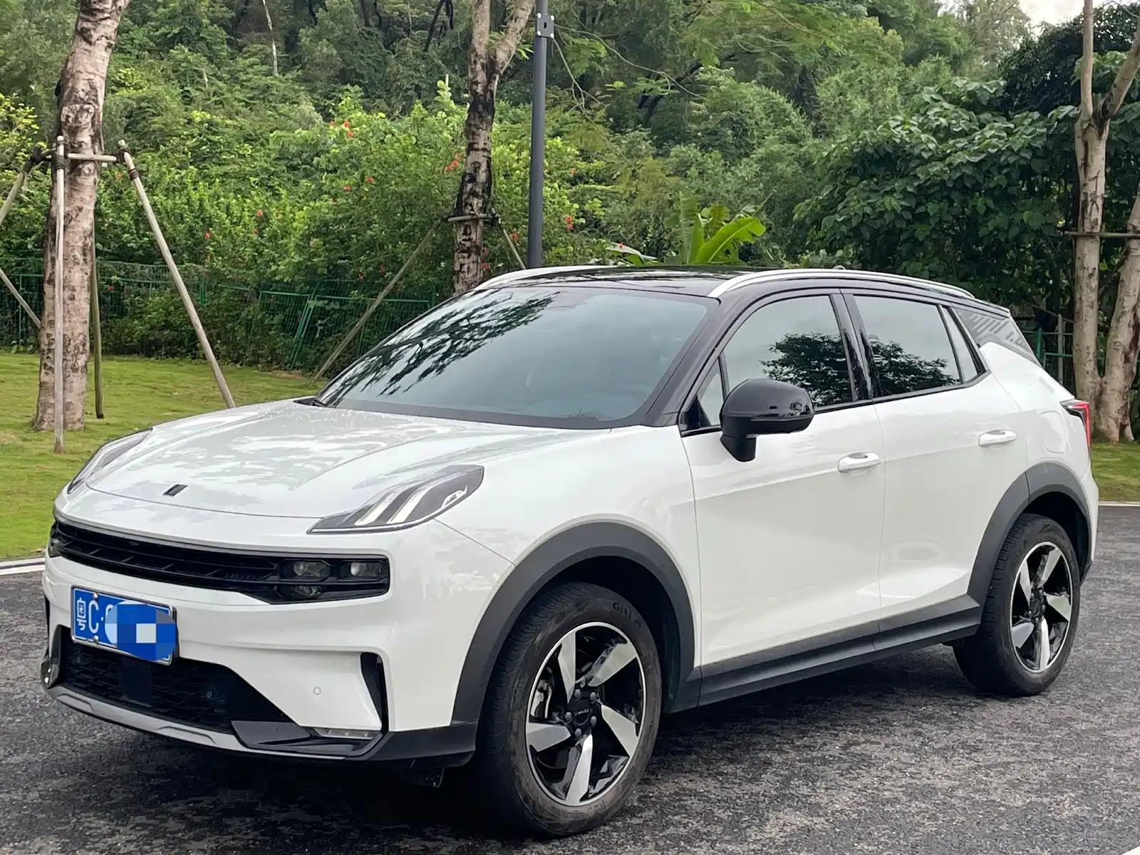 LYNK 06 2020