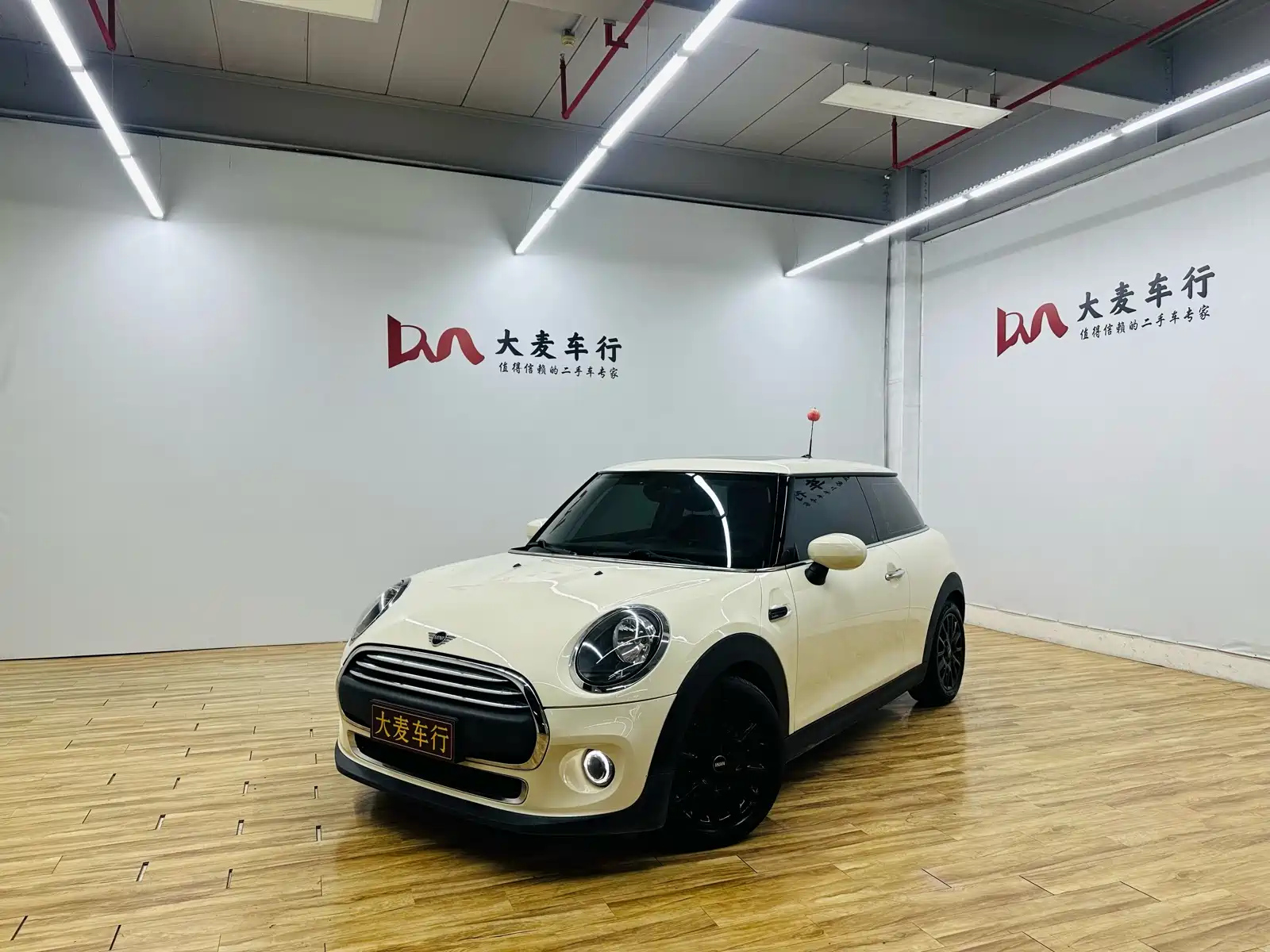 MINI OTHER 2019