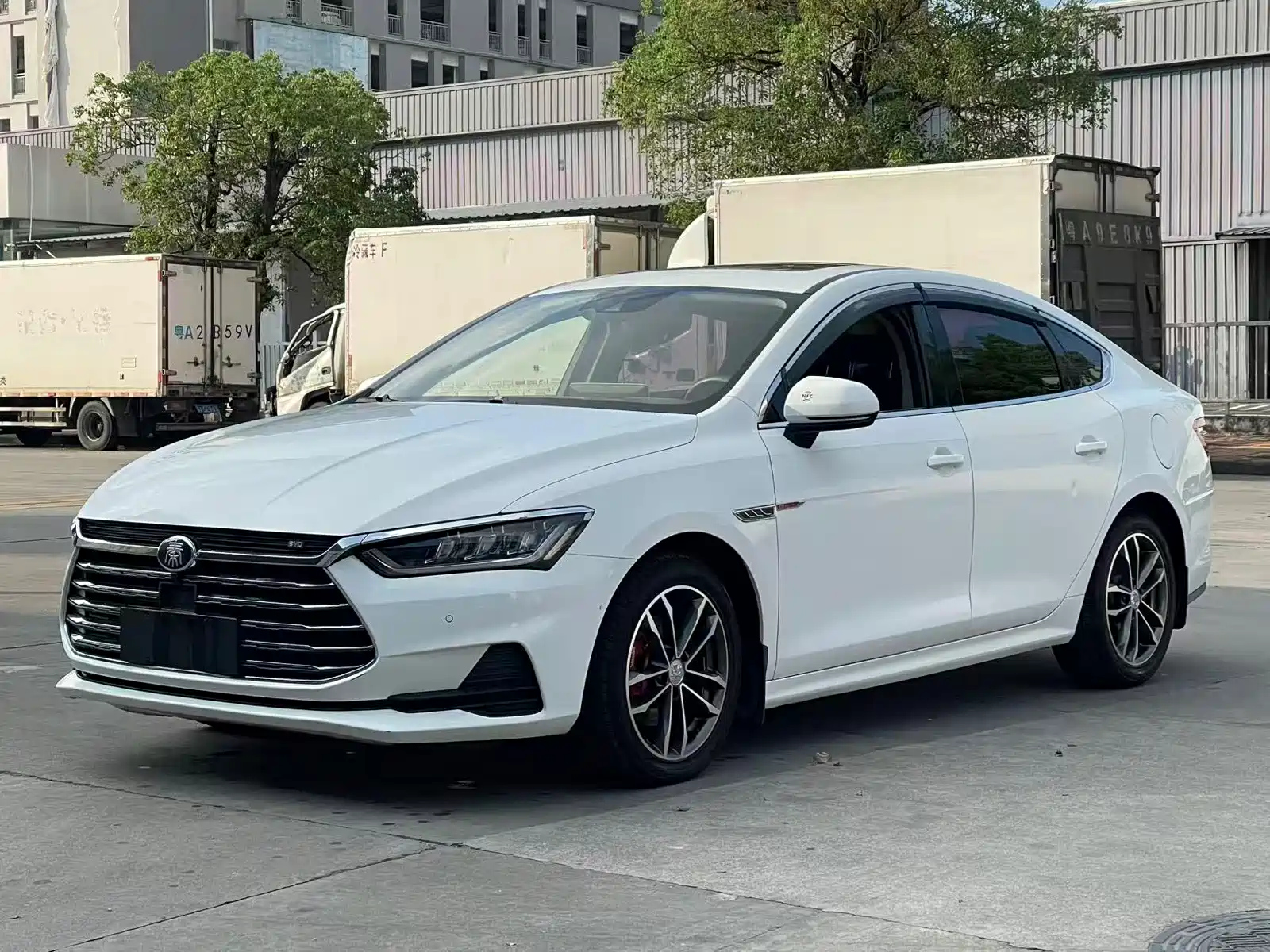 BYD QIN PRO 2019
