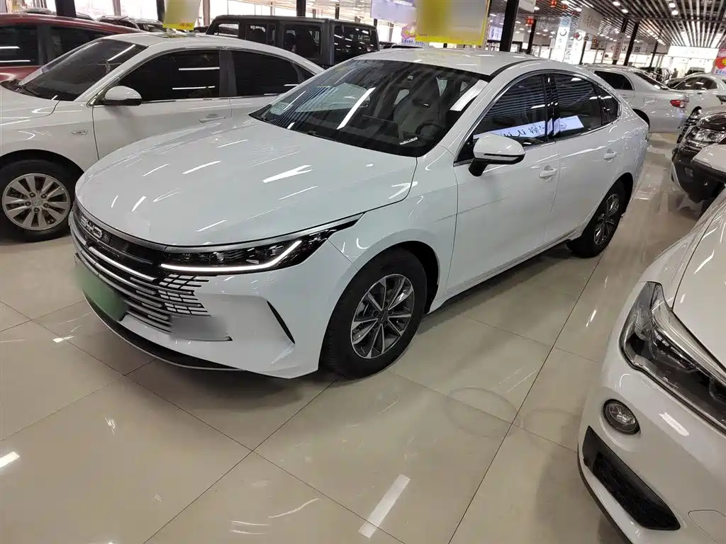 BYD DESTROYER 05 2024