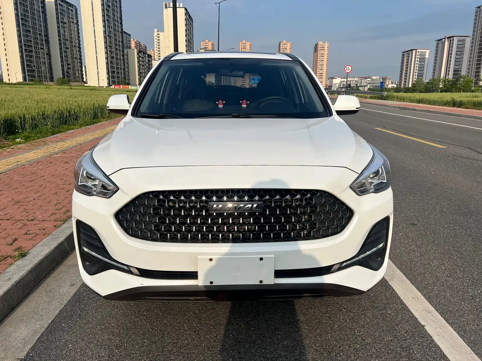 HAVAL M6 2019