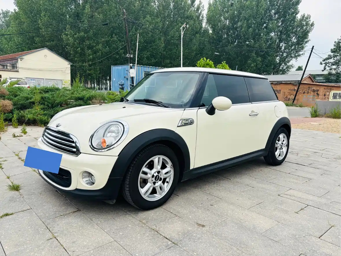 MINI OTHER 2013