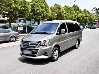 dongfeng lingzhi