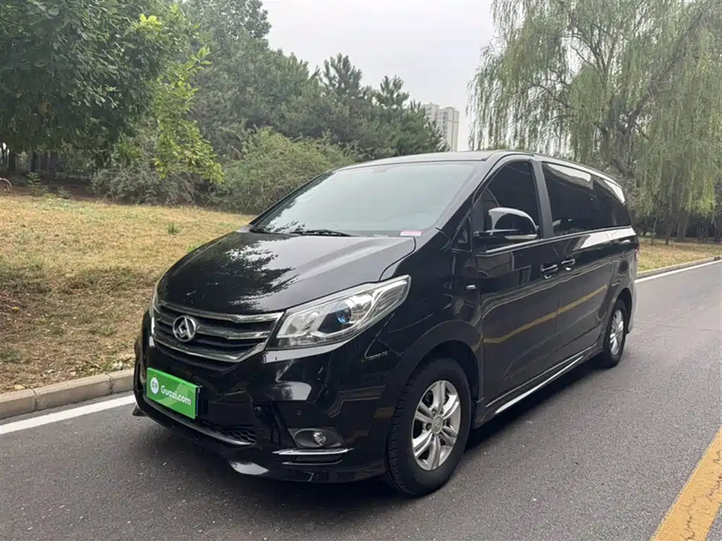 MAXUS OTHER 2018