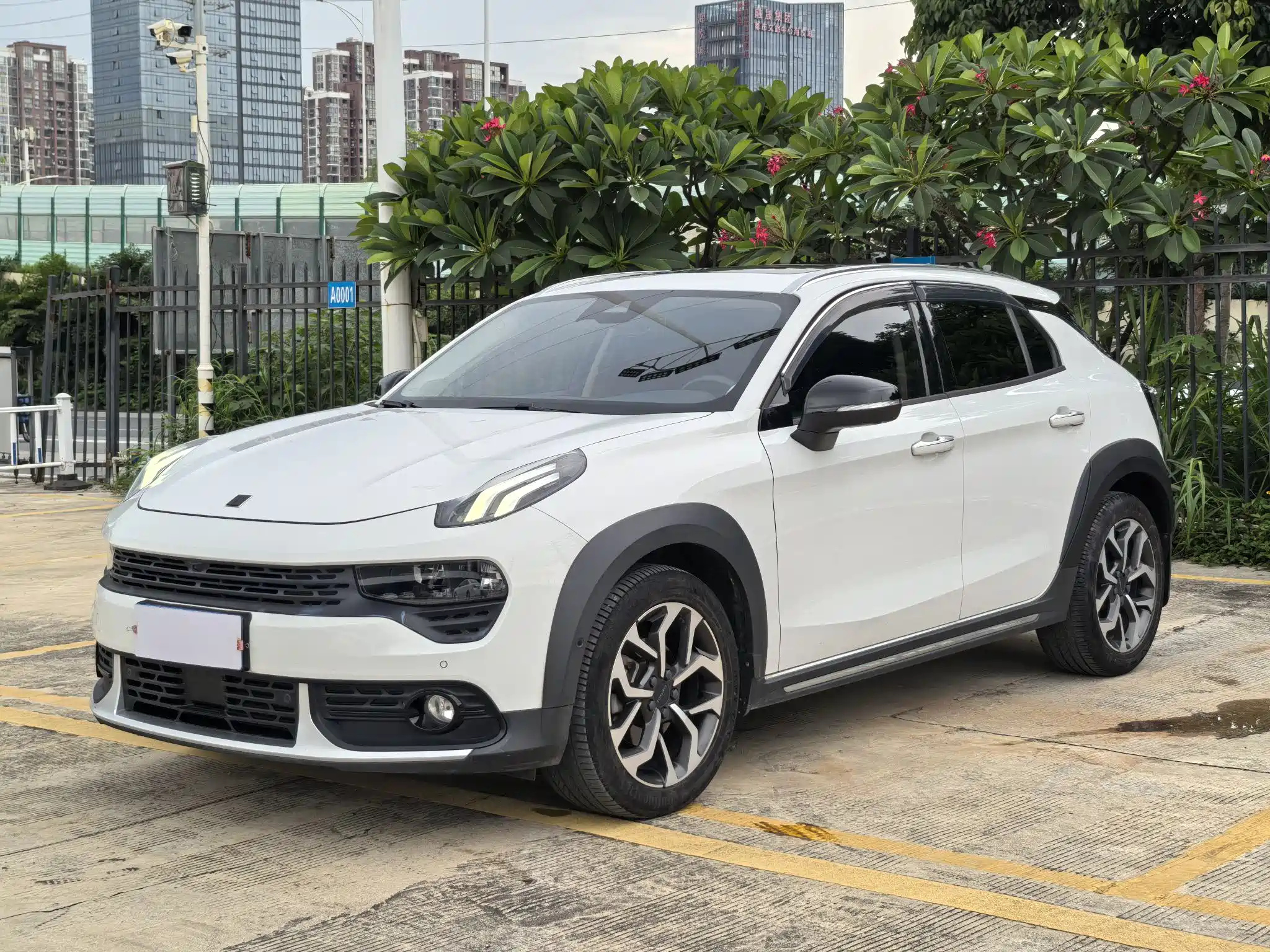 LYNK 02 2019
