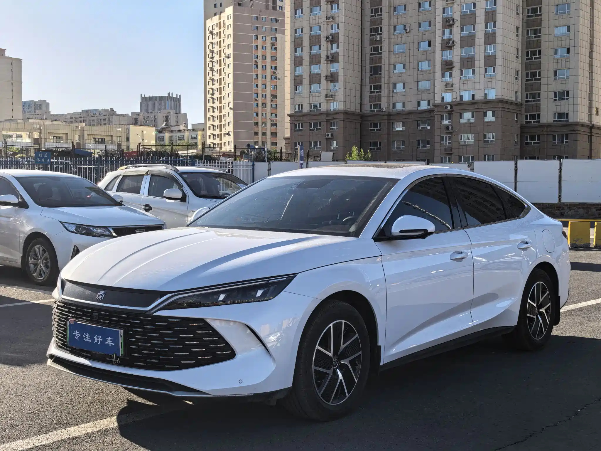 BYD QIN L 2024