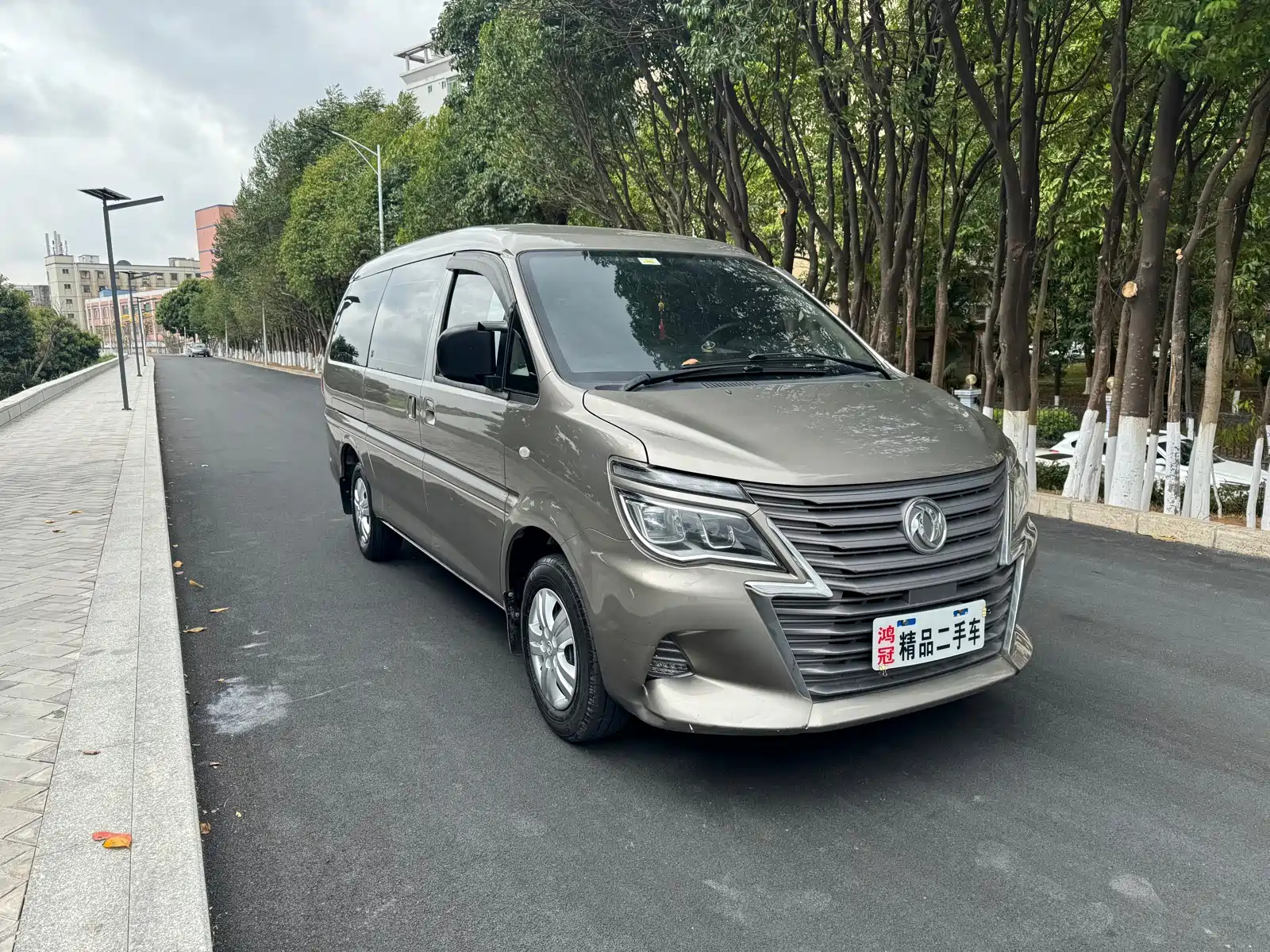 DONGFENG LINGZHI 2019