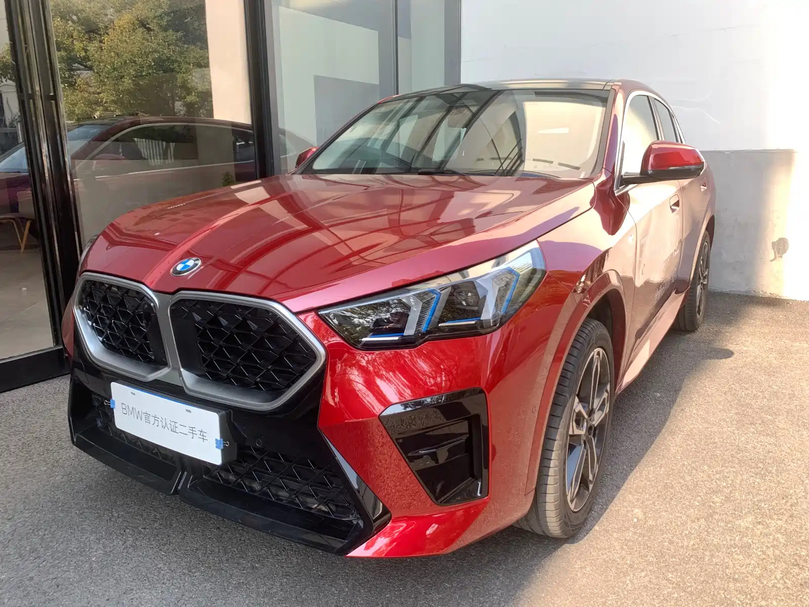 BMW X2 IMPORT 2024