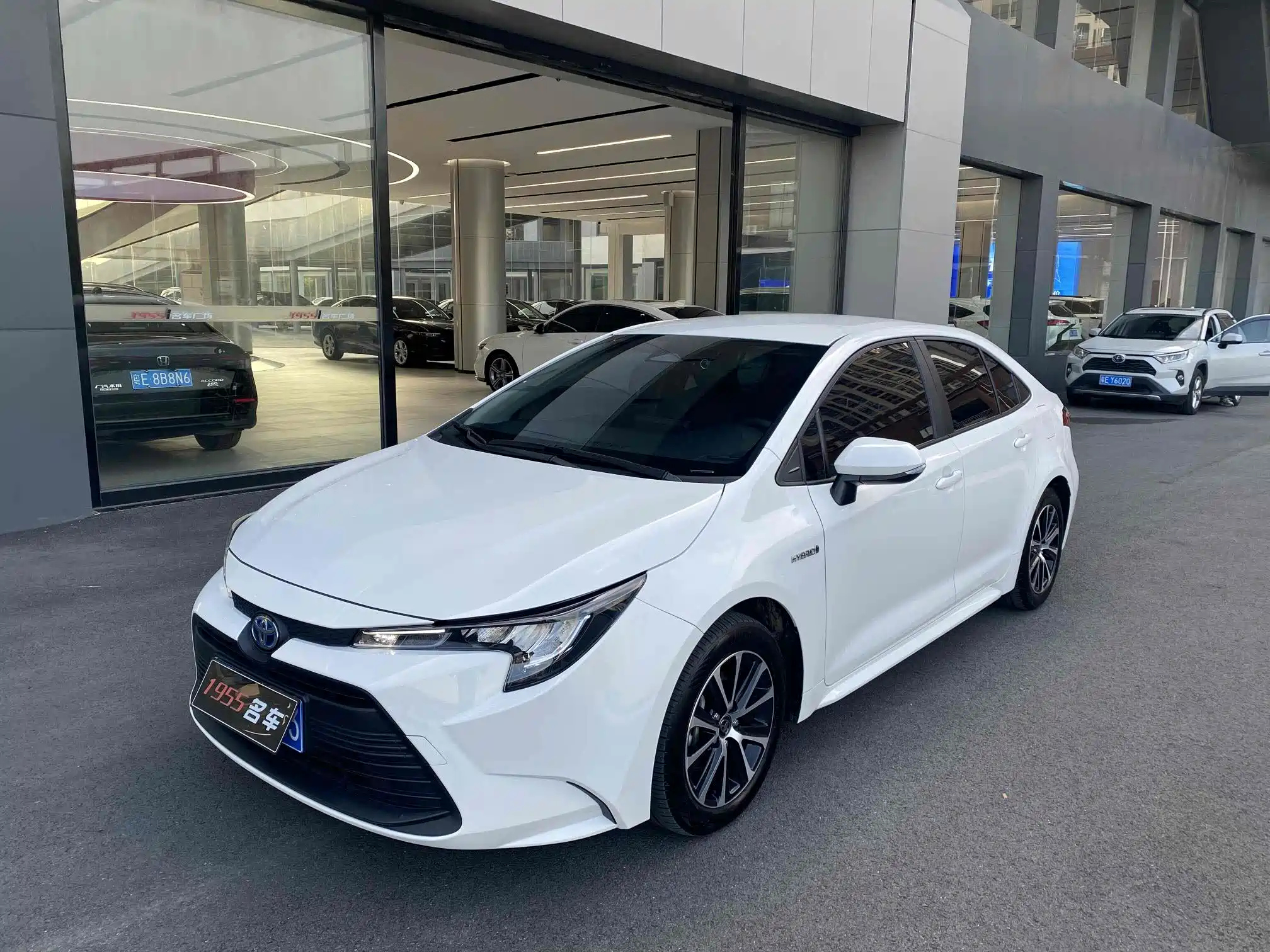 TOYOTA RALINK 2023
