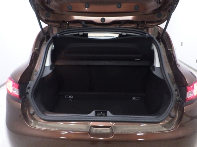 RENAULT LUTECIA 2014