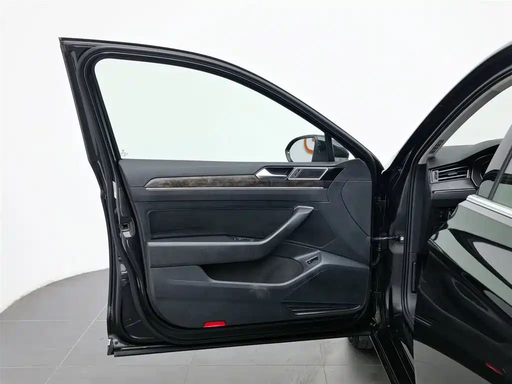 VOLKSWAGEN MAGOTAN 2019