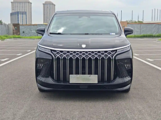 DONGFENG OTHER 2024