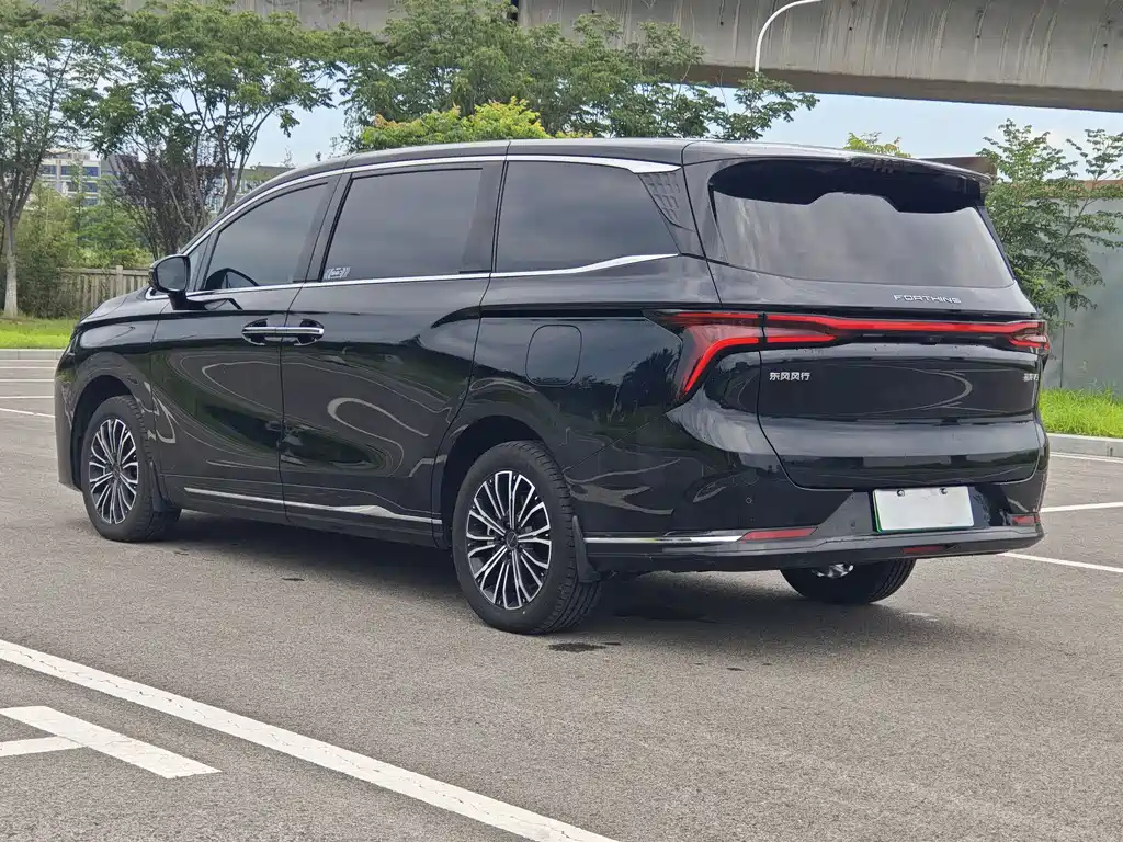 DONGFENG OTHER 2024