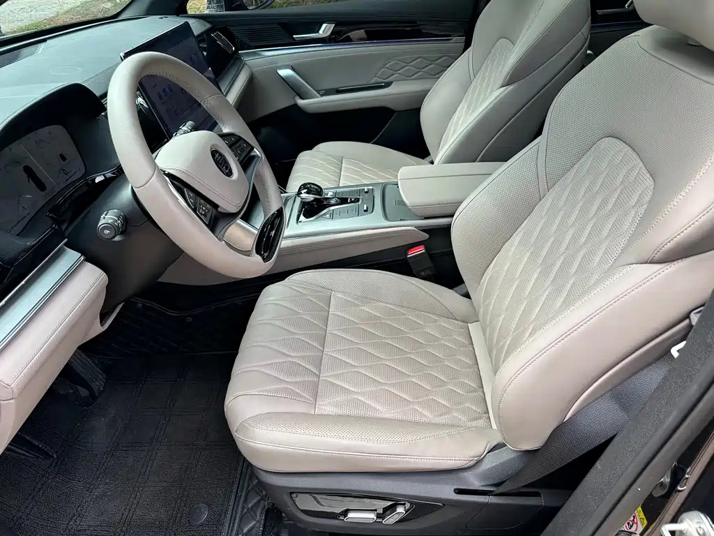 BYD TANG NEW ENERGY 2024