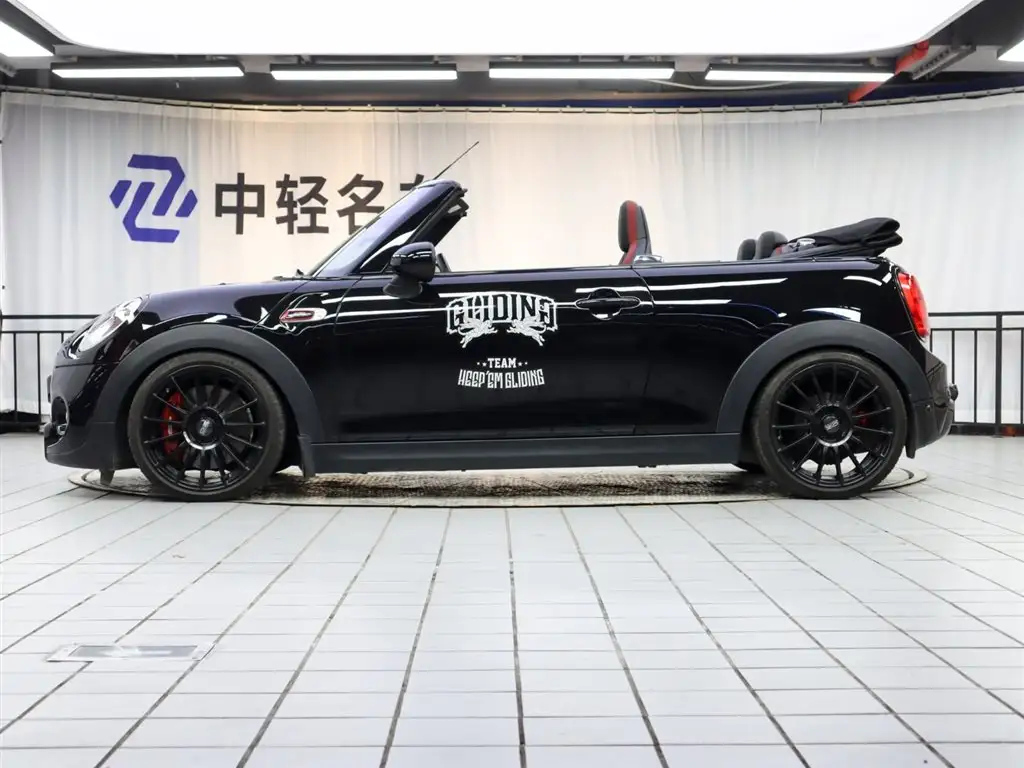 MINI OTHER 2016