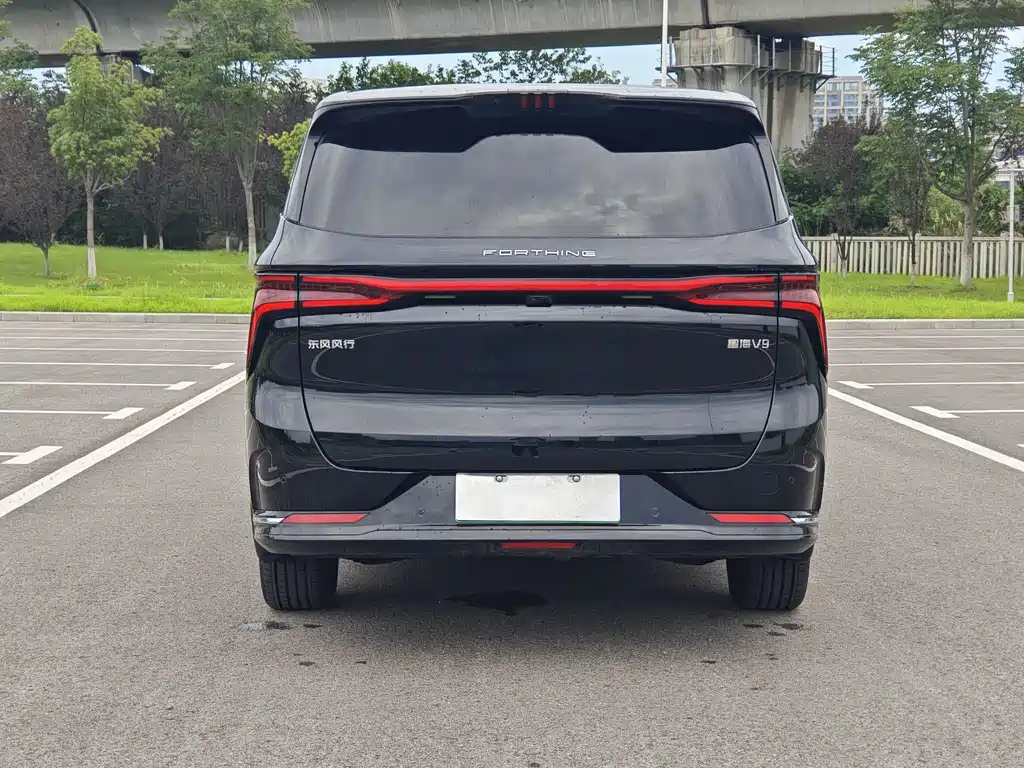 DONGFENG OTHER 2024