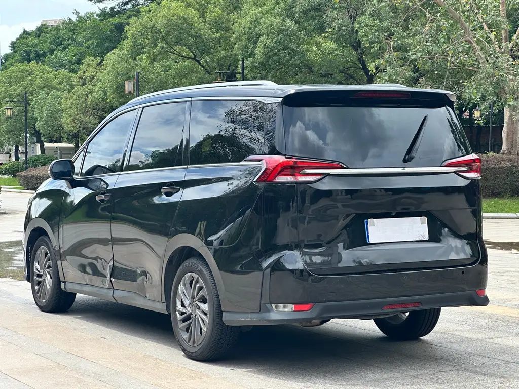 MAXUS OTHER 2019