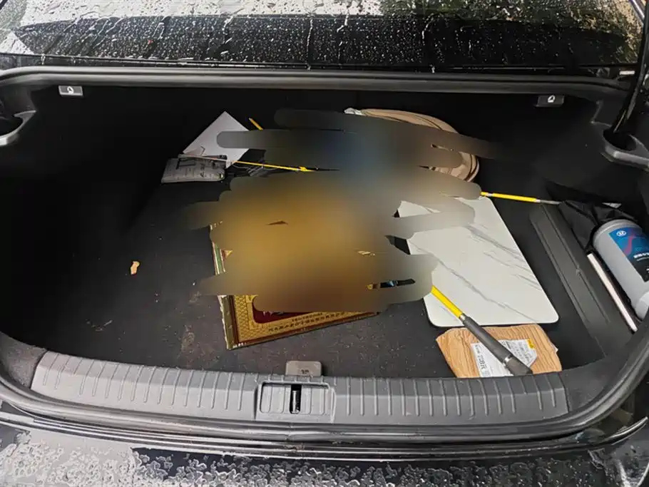 VOLKSWAGEN MAGOTAN 2020